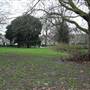 Lucas Gardens