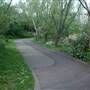 Russia Dock Woodland