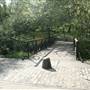 Russia Dock Woodland