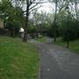 Surrey Canal Path