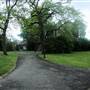 Surrey Canal Path