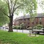 Brook Green