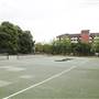 Hammersmith Park - Basketball  / Tennis
