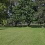 Normand Park