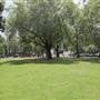 Parsons Green