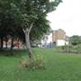 Purcell Crescent Open Space