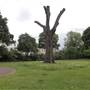 St Peters Square (The park)
