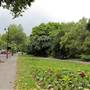 Embankment Gardens Chelsea