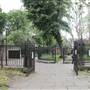 St Mary Abbots Gardens