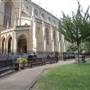St Luke's Gardens