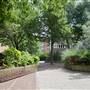 Wayneflete Square
