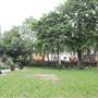 Tavistock Square Gardens