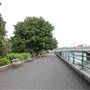 Bishops Park - River Walk / Thames Path