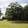 Bishops Park - Fielders Meadow