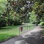 Bishops Park - Moat Garden