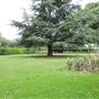 Hurlingham Park- Playground