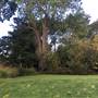 Fishponds Park