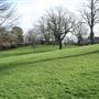 Broomhill Common
