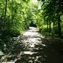 Kelsey Park