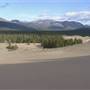Carcross Desert