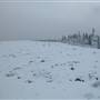 Copper Mine Field