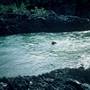 Cranberry Rapids