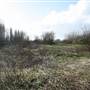 South Norwood Country Park