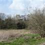 South Norwood Country Park