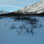 Fish Lake December
