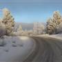 Fish Lake Road December