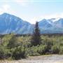 Haines Junction Field