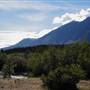 Haines Junction Field