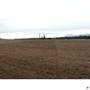 Haines Junction Field