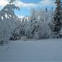 Mary Lake Area