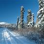 Mt MacIntyre November