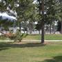 Selkirk Elementary