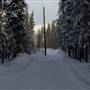 Yukon Forest Cabins