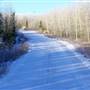 Vista Road