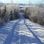 Vista Road