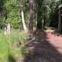 Wolf Creek Campground