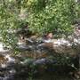 Wolf Creek Campground
