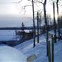 Winter Farms