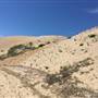 McAlister County Park