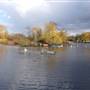Harrow Lodge Park