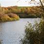 Bedfont Lakes Country Park