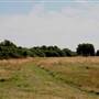 Hanworth Park