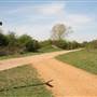 Hounslow Heath