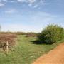 Hounslow Heath