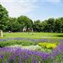 Turnham Green