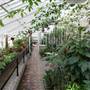 Myddelton House Gardens